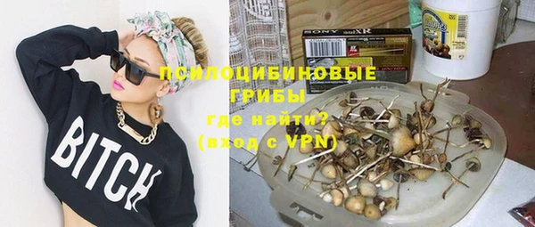 гашик Абаза